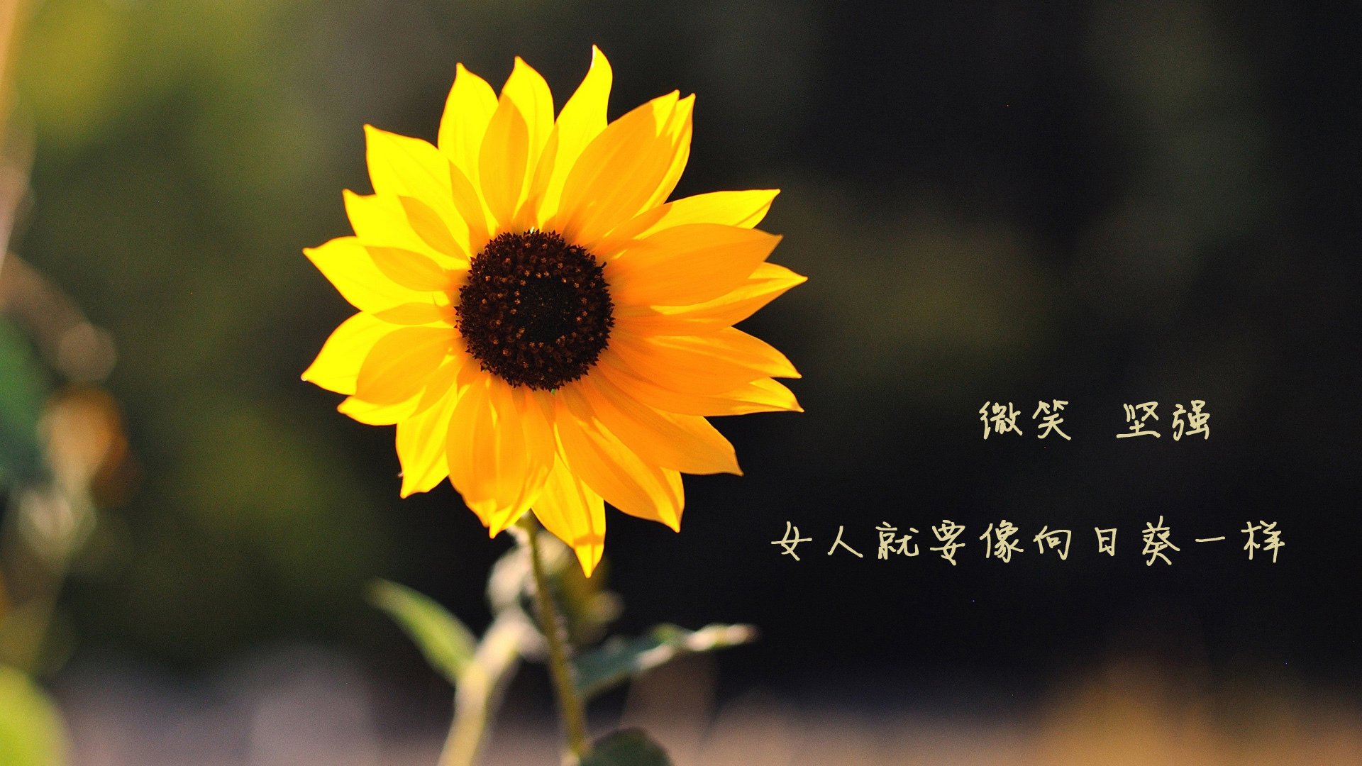 中国三人女篮体能储备充足,中国三人女篮水平