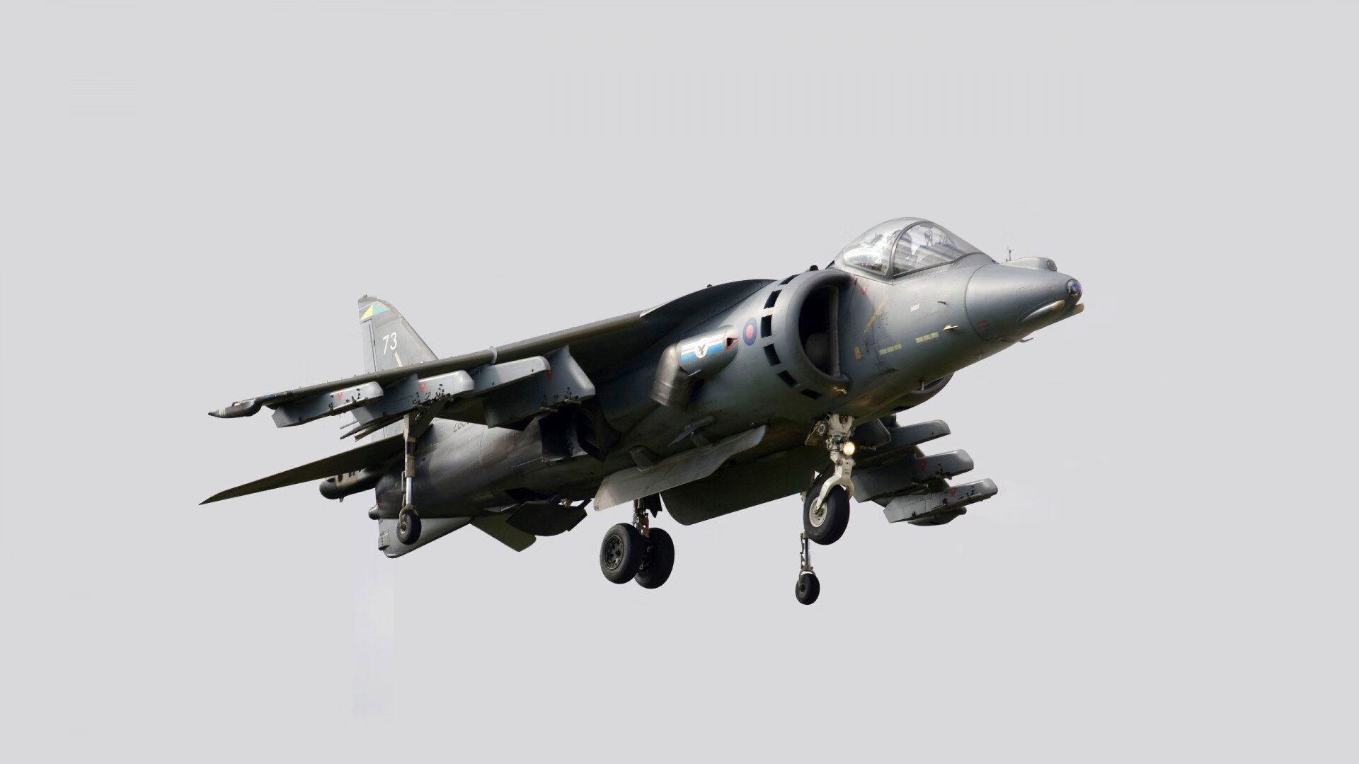 开云体育官方网站-加拿大男队自由泳实力持续提升，加拿大泳手