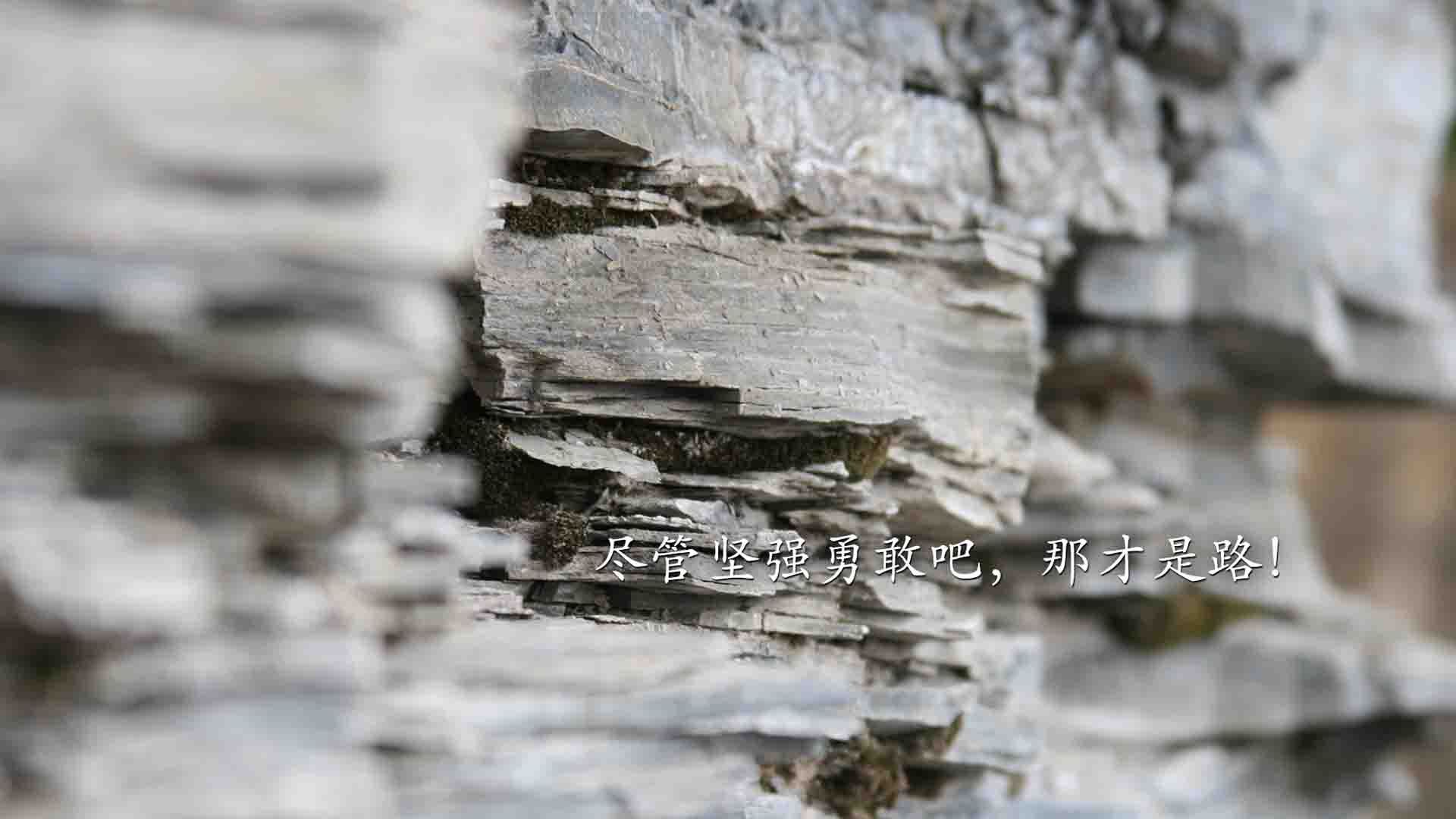 大数据平台输出城市体育参与度报告，体育行业大数据